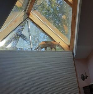 Meet your Posher, Jeff